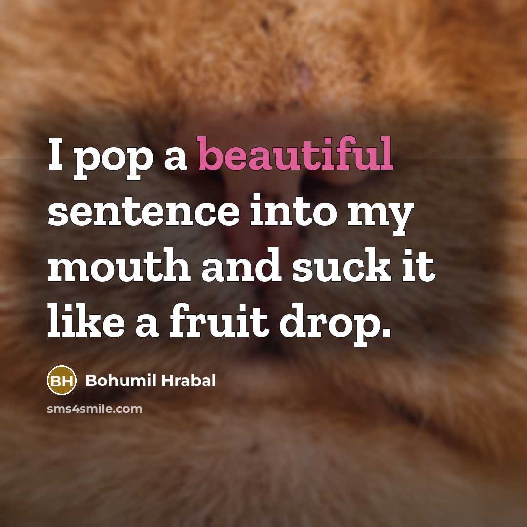 “I pop a beautiful sentence into my mouth and suck…” quote by Bohumil Hrabal