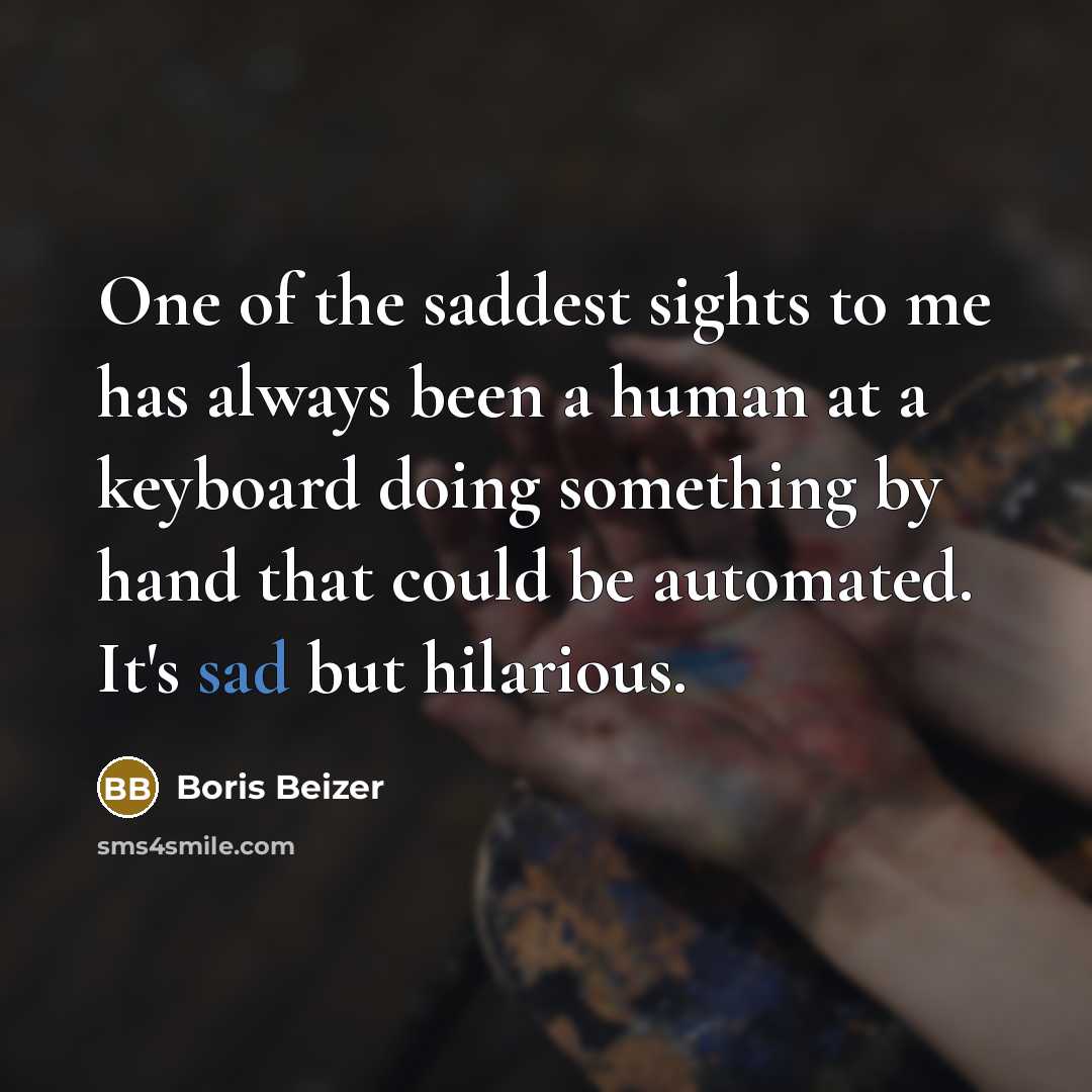 “One of the saddest sights to me has always been…” quote by Boris Beizer