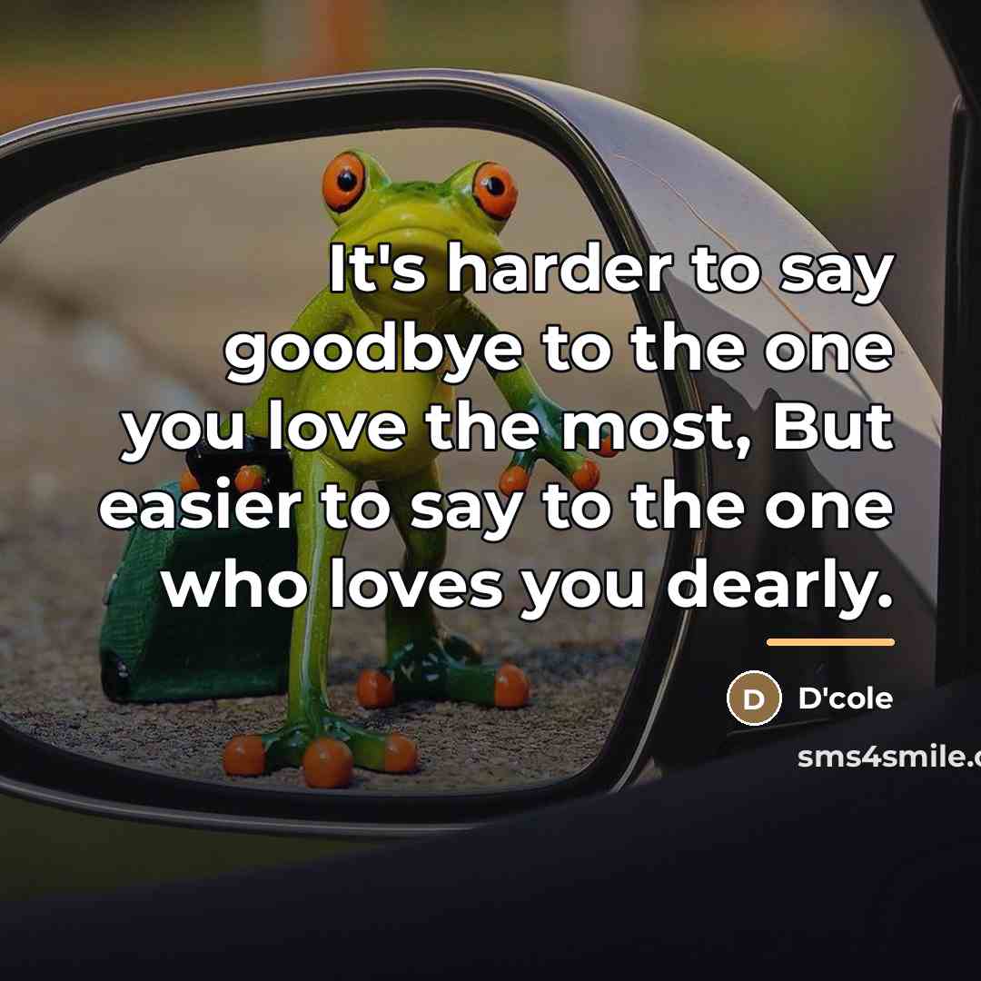 “It's harder to say goodbye to the one you love…” quote by D'cole