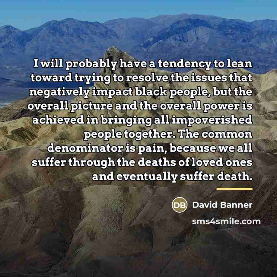 “I will probably have a tendency to lean toward trying…” quote by David Banner