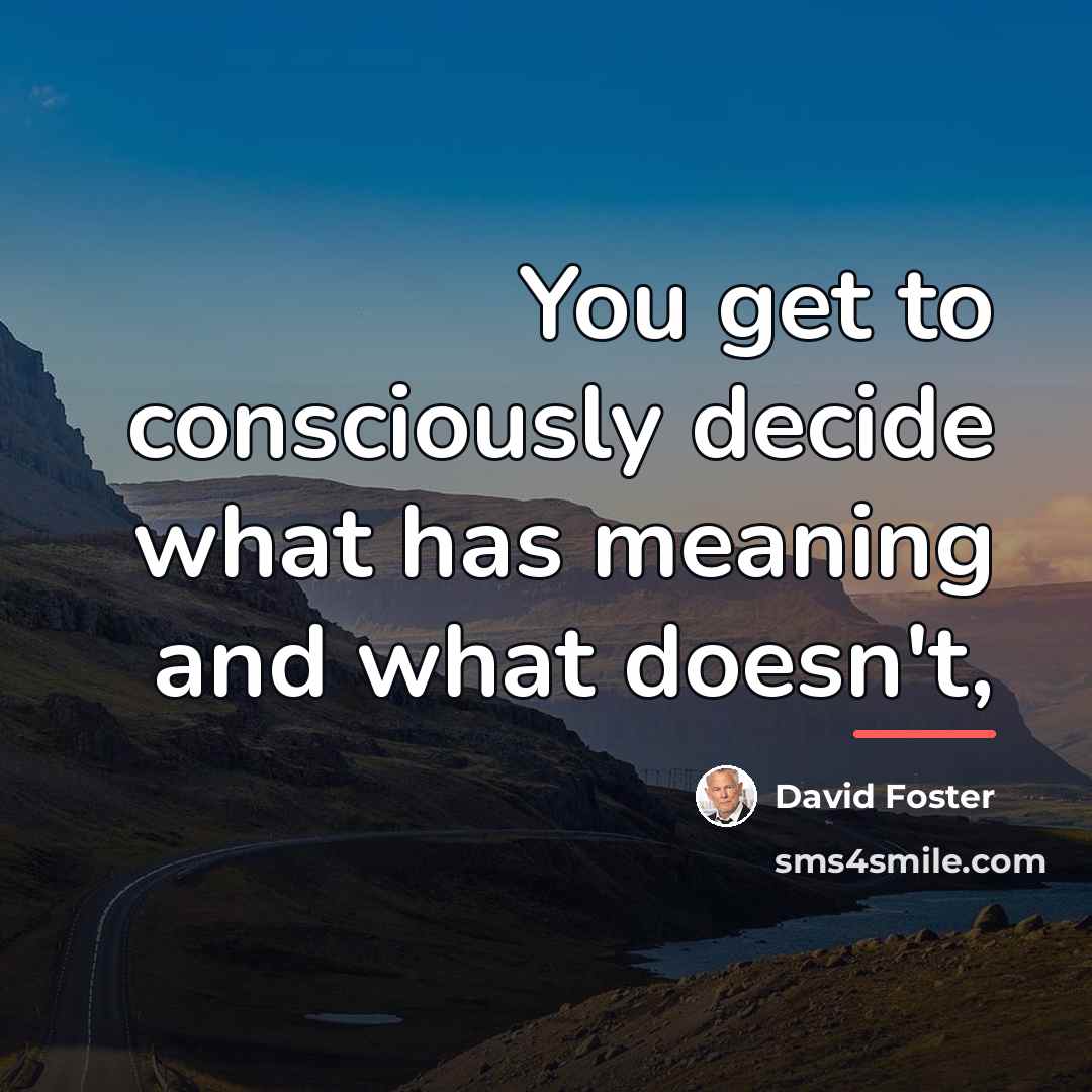 “You get to consciously decide what has meaning and what…” quote by David Foster