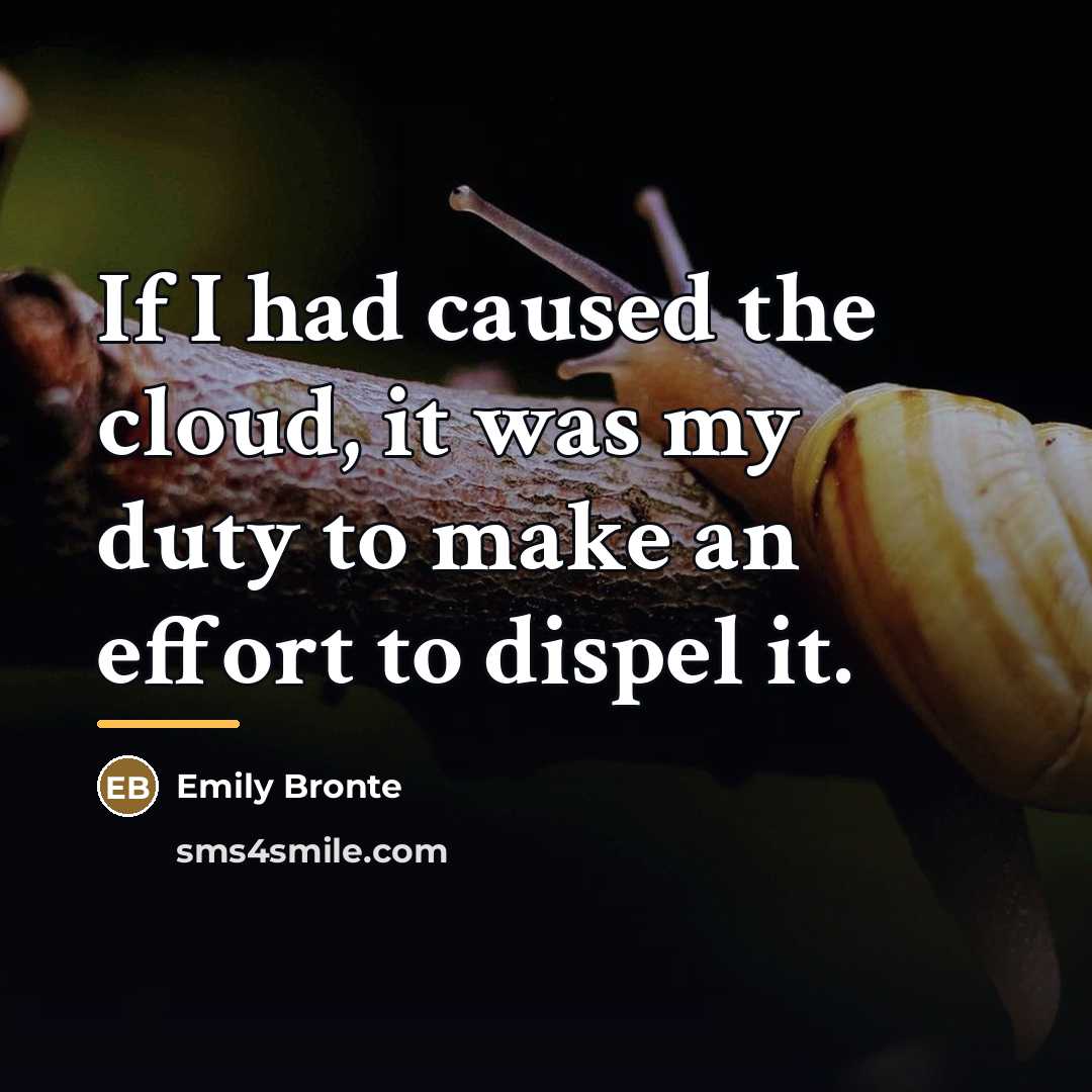 “If I had caused the cloud, it was my duty…” quote by Emily Bronte
