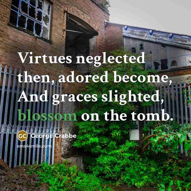 “Virtues neglected then, adored become, And graces slighted, blossom on…” quote by George Crabbe
