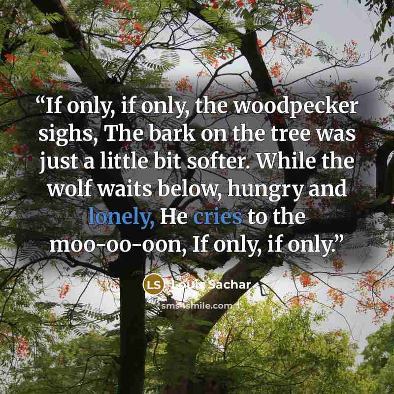 “If only, if only, the woodpecker sighs, The bark on the tree was just a little bit softer. While the wolf waits below, hungry and lonely, He cries to the moo-oo-oon, If only, if only.” quote by Louis Sachar