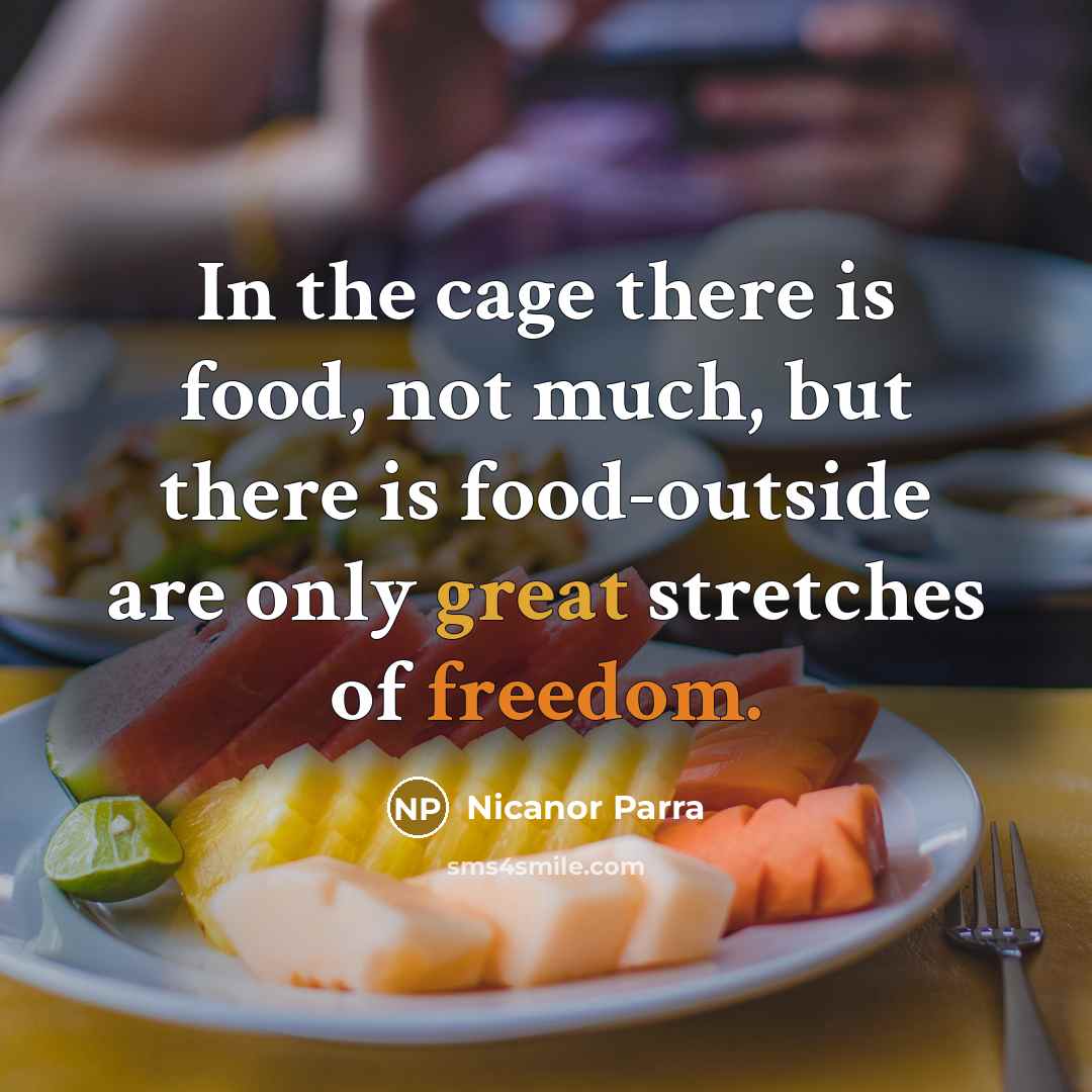 “In the cage there is food, not much, but there…” quote by Nicanor Parra