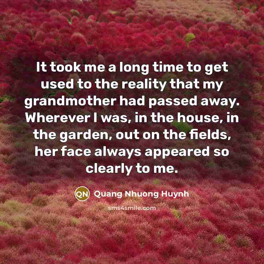 “It took me a long time to get used to the reality that my grandmother had passed away. Wherever I was, in the house, in the garden, out on the fields, her face always appeared so clearly to me.” quote by Quang Nhuong Huynh