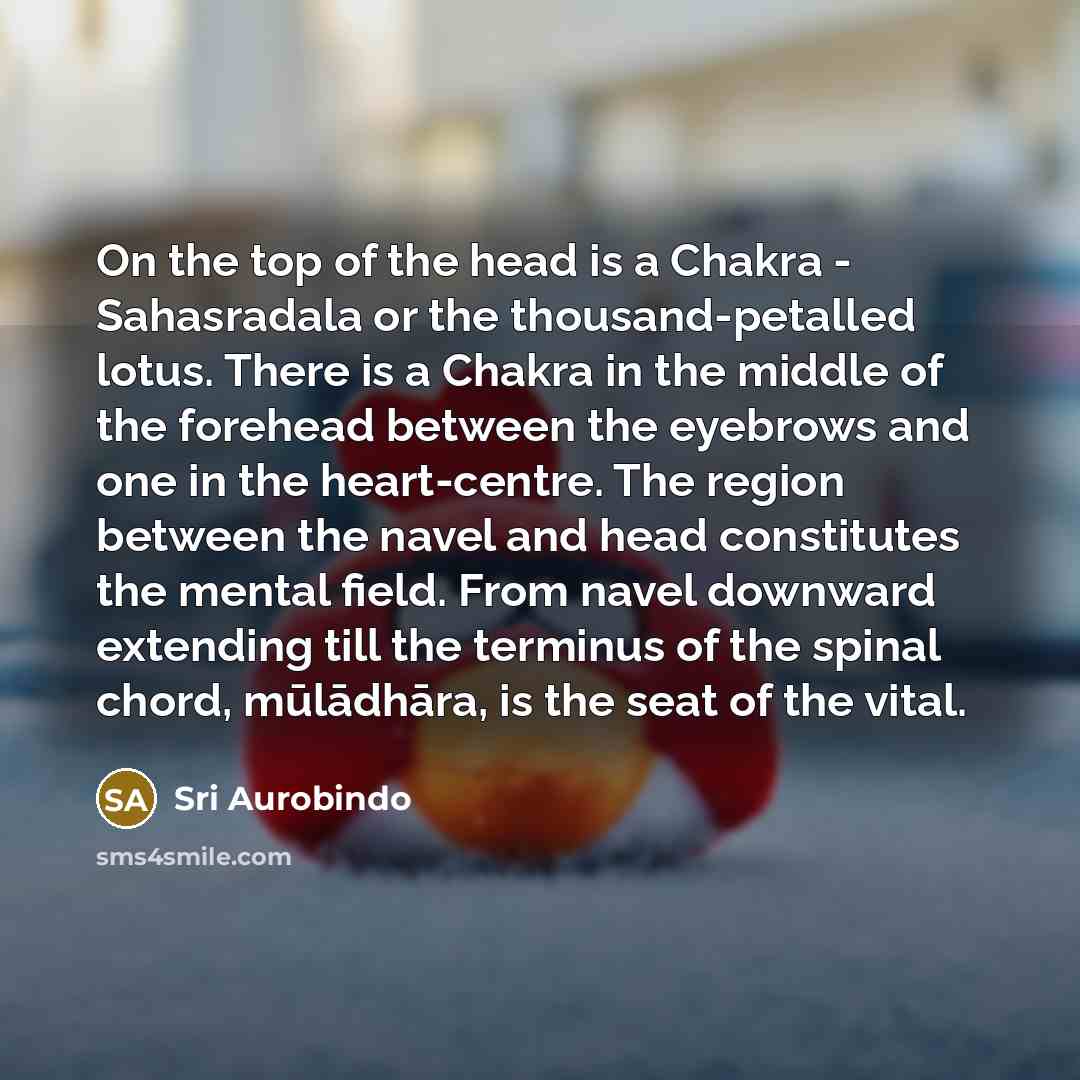 “On the top of the head is a Chakra -…” quote by Sri Aurobindo