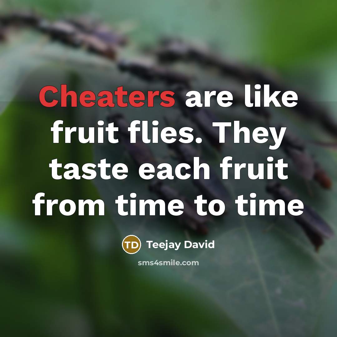 “Cheaters are like fruit flies. They taste each fruit from time to time” quote by Teejay David