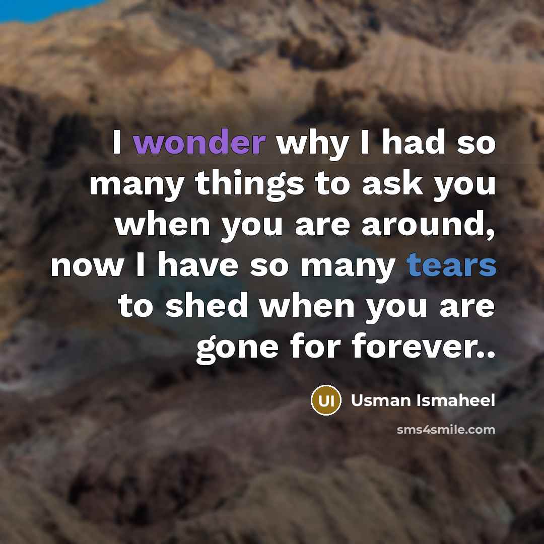 “I wonder why I had so many things to ask…” quote by Usman Ismaheel