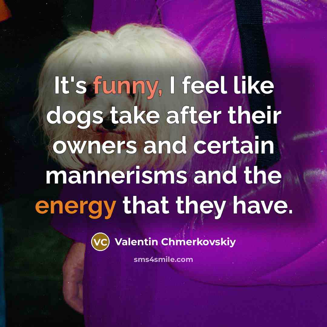 “It's funny, I feel like dogs take after their owners…” quote by Valentin Chmerkovskiy