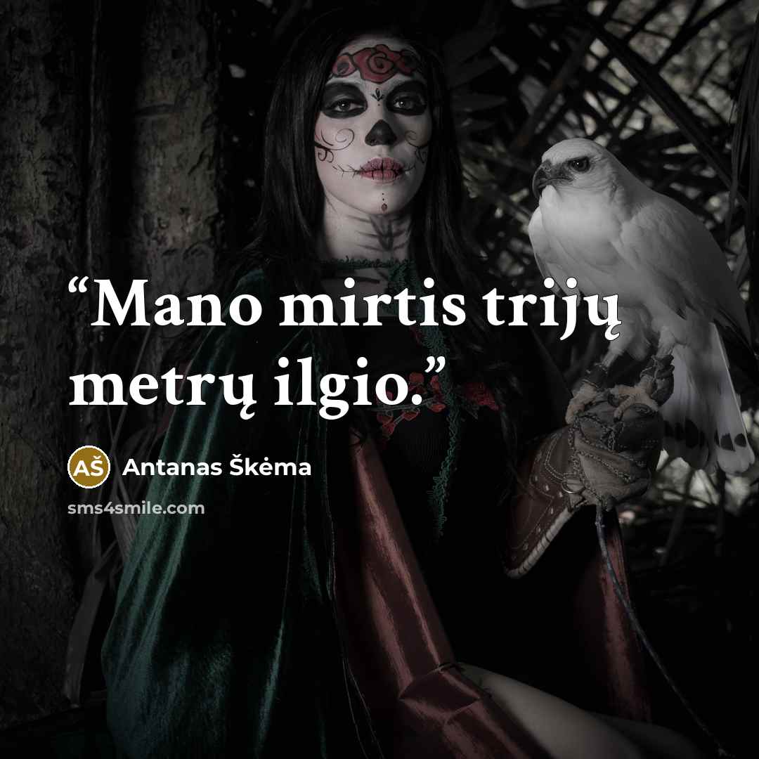 “Mano mirtis trijų metrų ilgio.” quote by Antanas Škėma