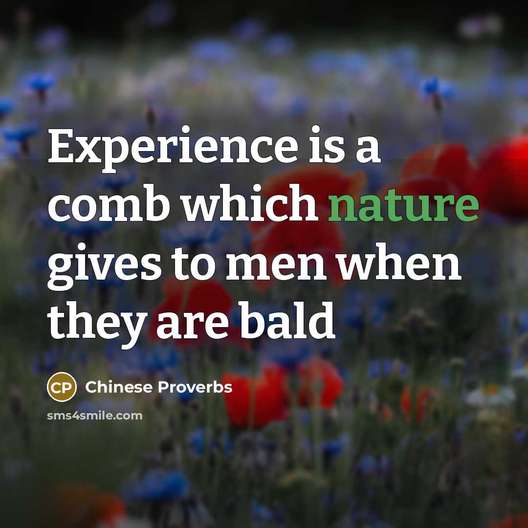 “Experience is a comb which nature gives to men when they are bald” quote by Chinese Proverbs