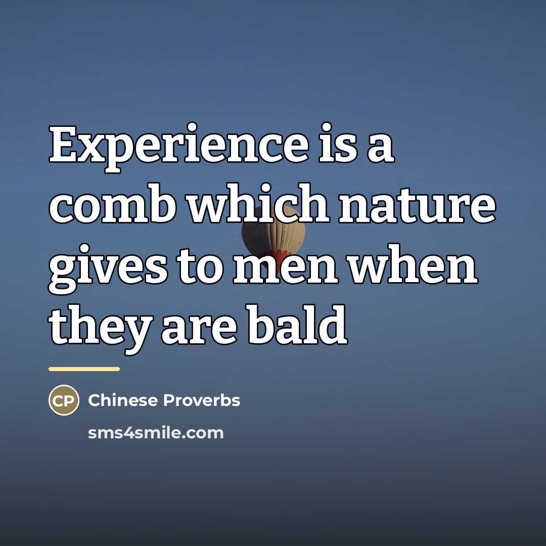 “Experience is a comb which nature gives to men when…” quote by Chinese Proverbs