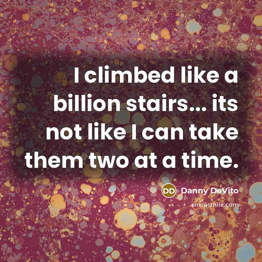 “I climbed like a billion stairs... its not like I…” quote by Danny DeVito