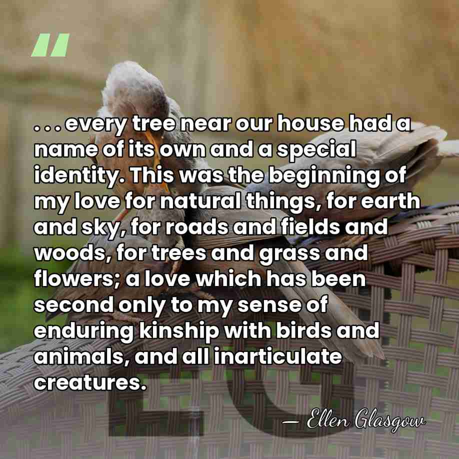 . . . every tree near our house had a name of&hellip; - Ellen Glasgow