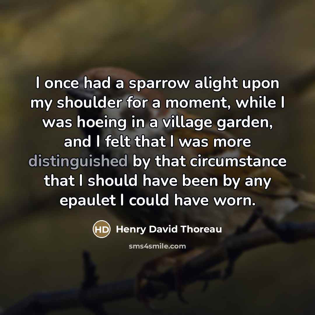 “I once had a sparrow alight upon my shoulder for…” quote by Henry David Thoreau