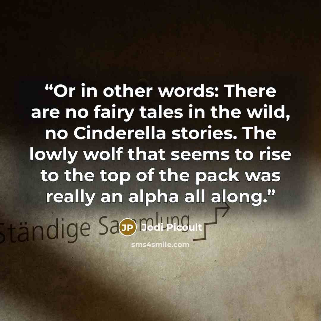 “Or in other words: There are no fairy tales in the wild, no Cinderella stories. The lowly wolf that seems to rise to the top of the pack was really an alpha all along.” quote by Jodi Picoult