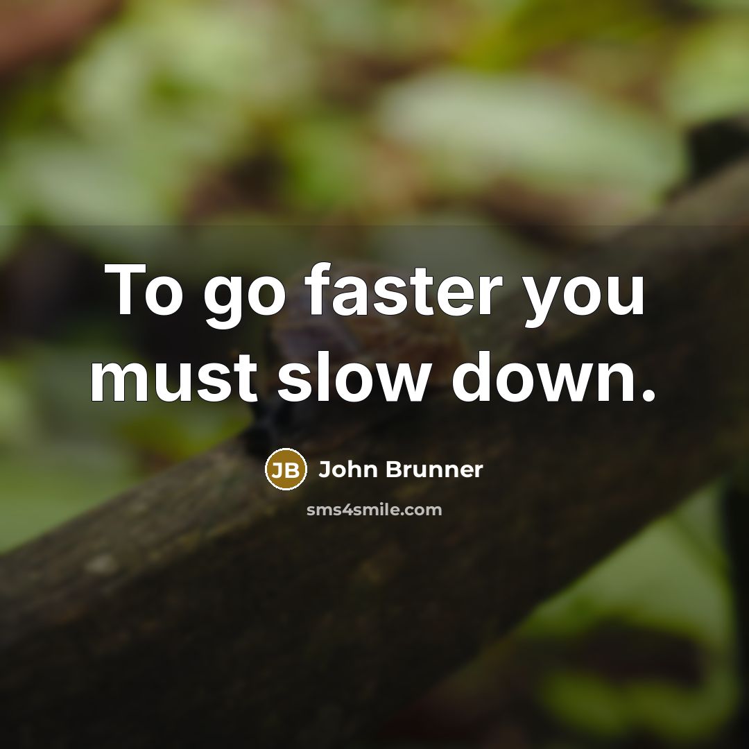 “To go faster you must slow down.…” quote by John Brunner