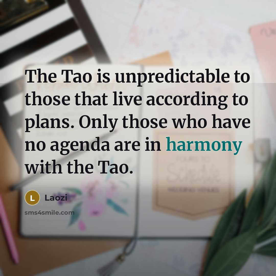 “The Tao is unpredictable to those that live according to…” quote by Laozi