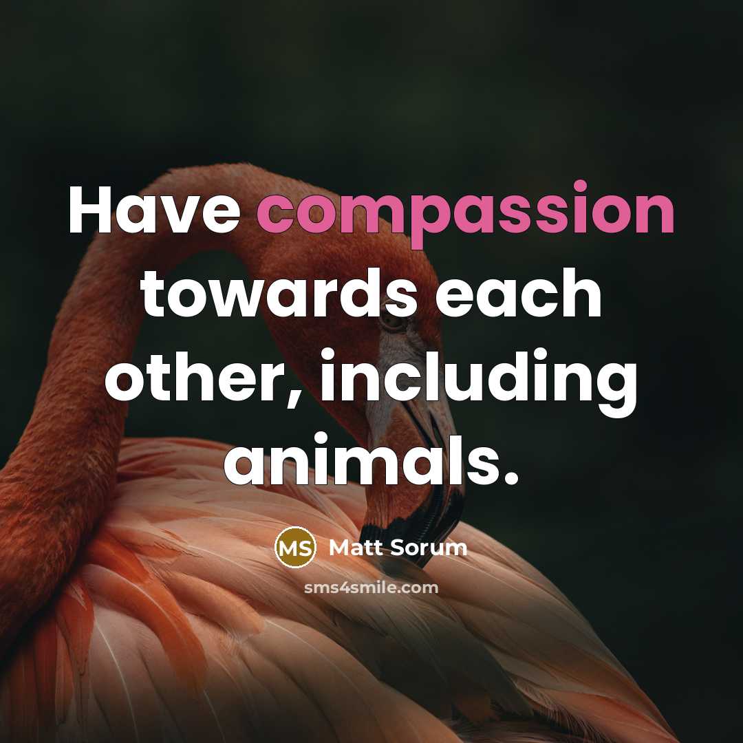 “Have compassion towards each other, including animals.…” quote by Matt Sorum