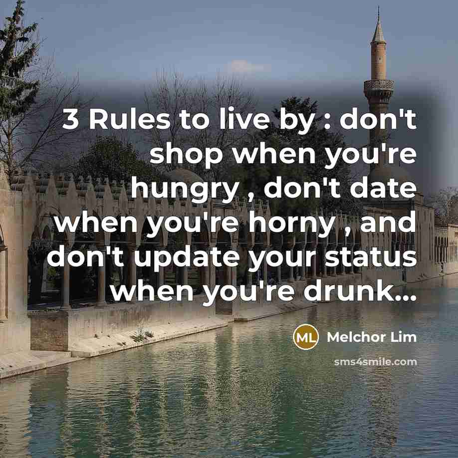 “3 Rules to live by : don't shop when you're hungry , don't date when you're horny , and don't update your status when you're drunk...” quote by Melchor Lim