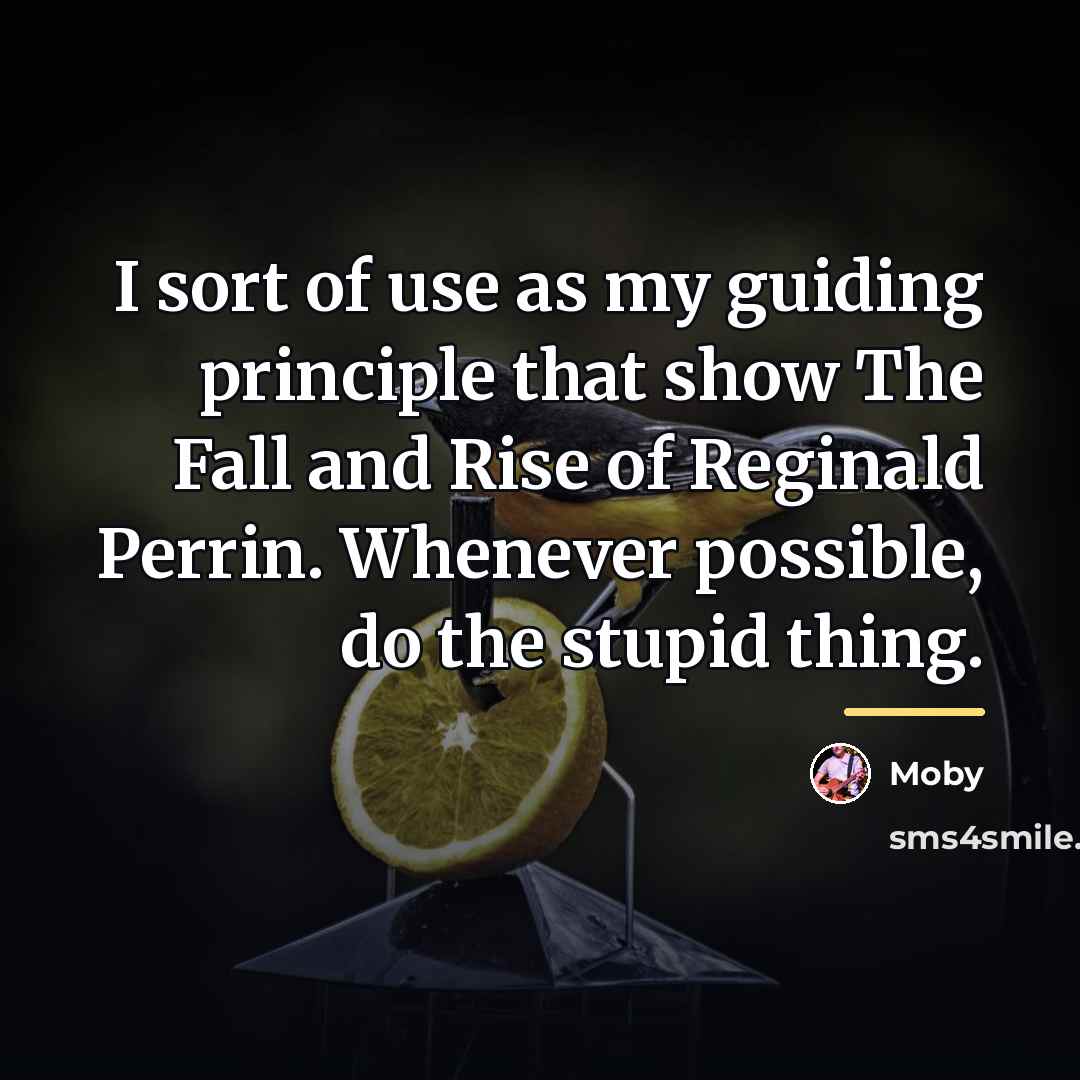 “I sort of use as my guiding principle that show…” quote by Moby