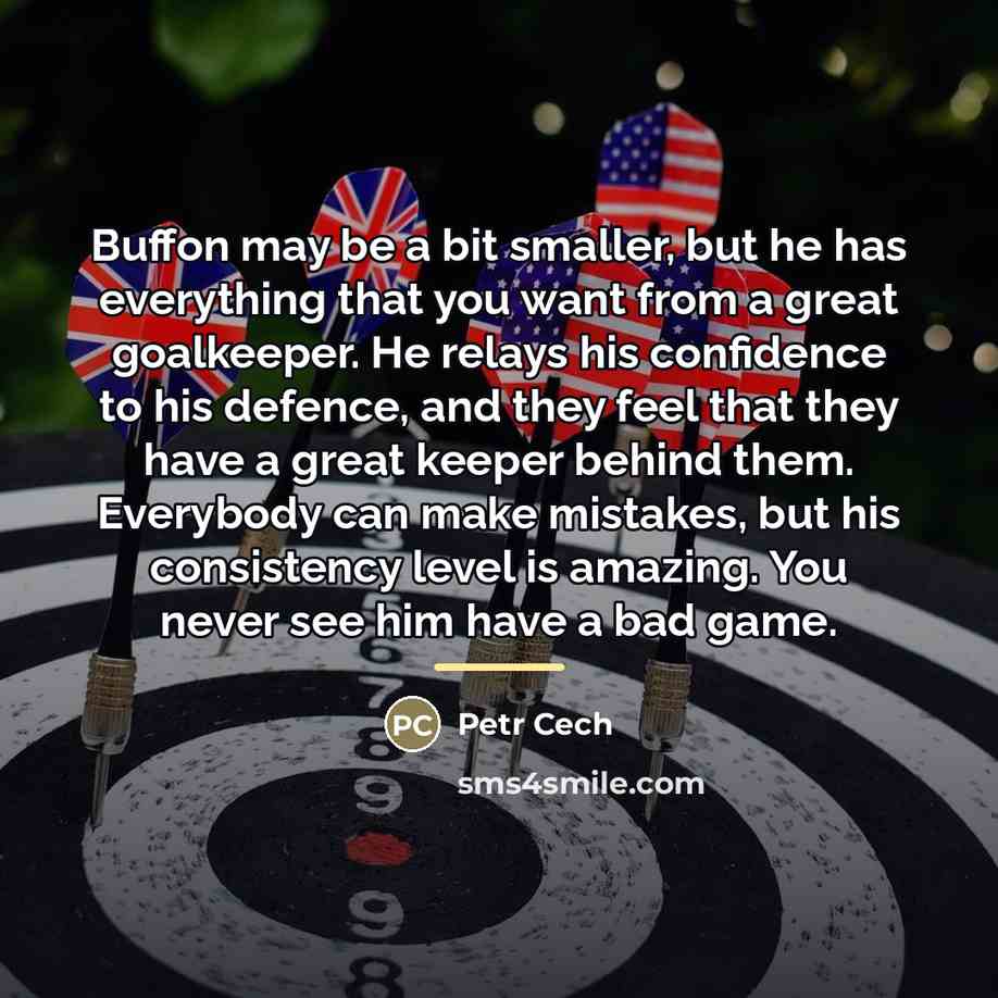 “Buffon may be a bit smaller, but he has everything…” quote by Petr Cech