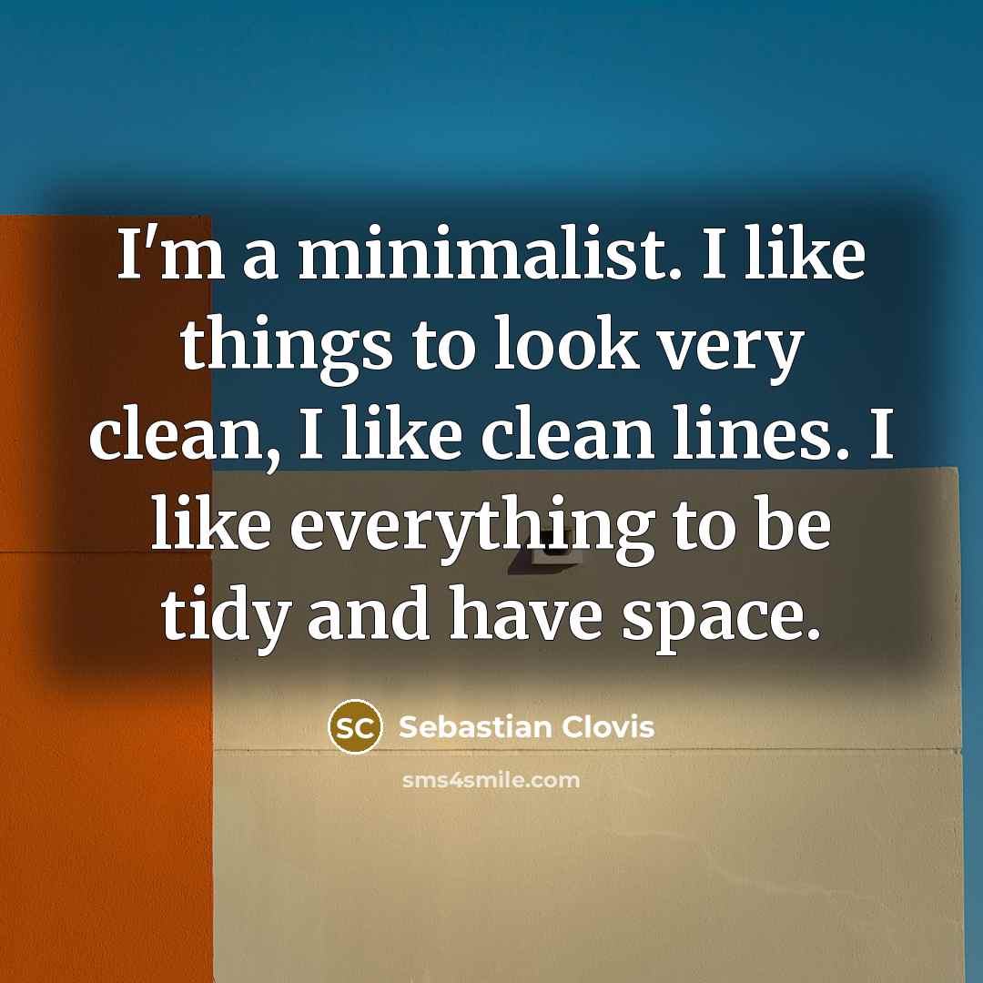 “I'm a minimalist. I like things to look very clean,…” quote by Sebastian Clovis