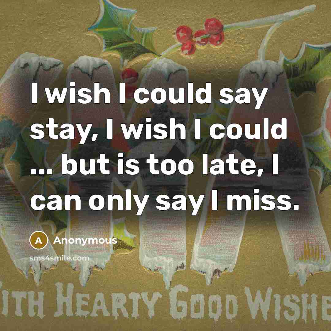 “I wish I could say stay, I wish I could…” quote by Anonymous