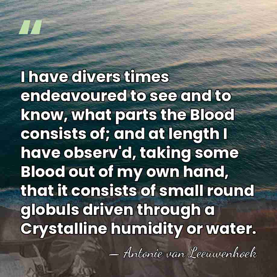 I have divers times endeavoured to see and to know, what parts&hellip; - Antonie van Leeuwenhoek