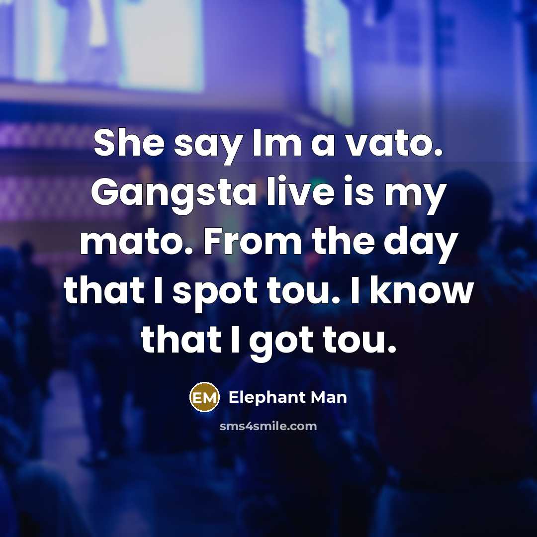 “She say Im a vato. Gangsta live is my mato.…” quote by Elephant Man