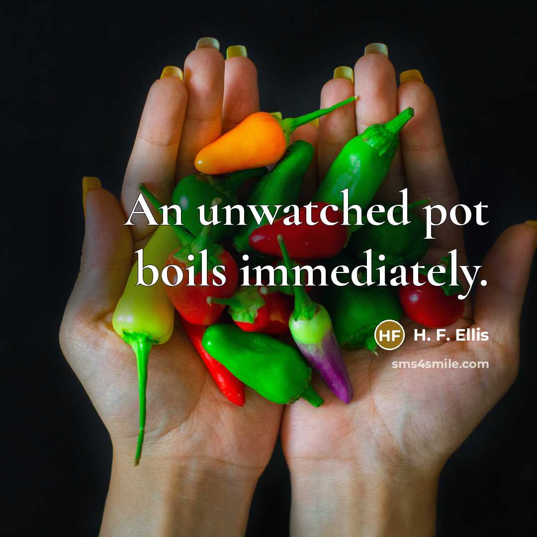 “An unwatched pot boils immediately.…” quote by H. F. Ellis