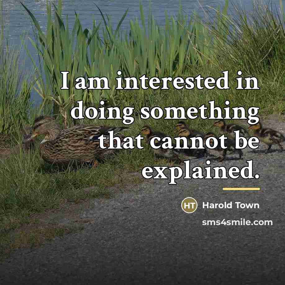 “I am interested in doing something that cannot be explained.…” quote by Harold Town