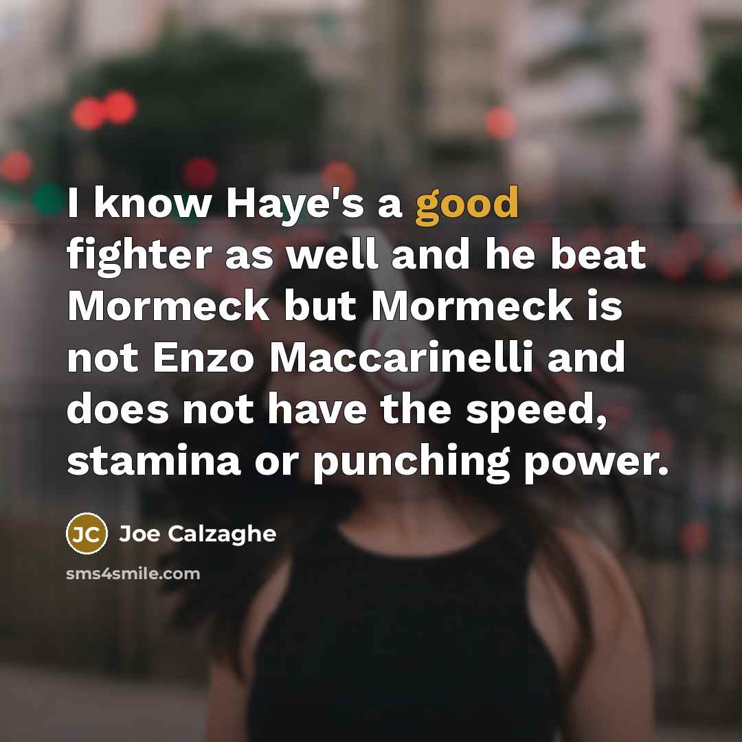 “I know Haye's a good fighter as well and he…” quote by Joe Calzaghe