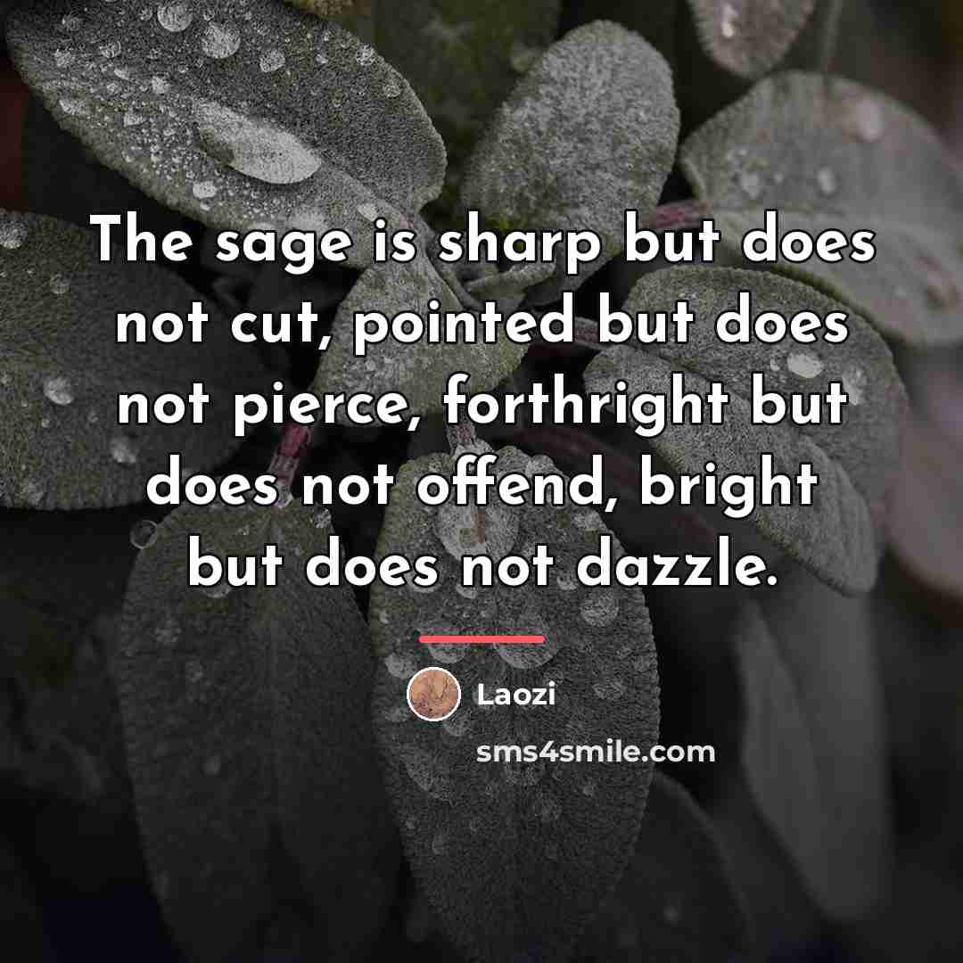“The sage is sharp but does not cut, pointed but…” quote by Laozi