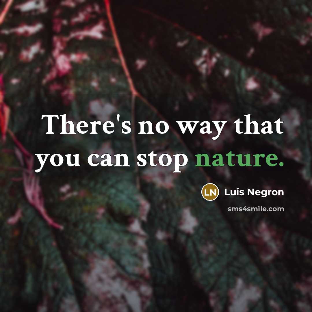 “There's no way that you can stop nature.…” quote by Luis Negron