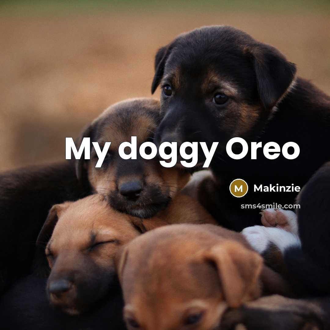 “My doggy Oreo…” quote by Makinzie