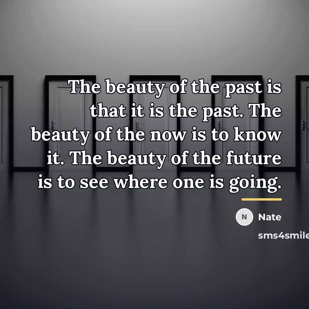 “The beauty of the past is that it is the…” quote by Nate
