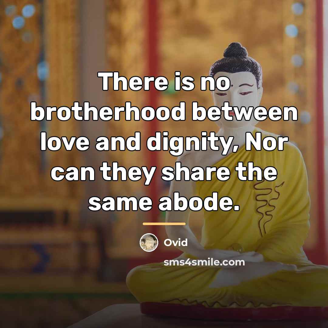 “There is no brotherhood between love and dignity, Nor can…” quote by Ovid