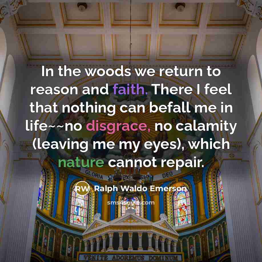 “"In the woods we return to reason and faith. There…” quote by Ralph Waldo Emerson