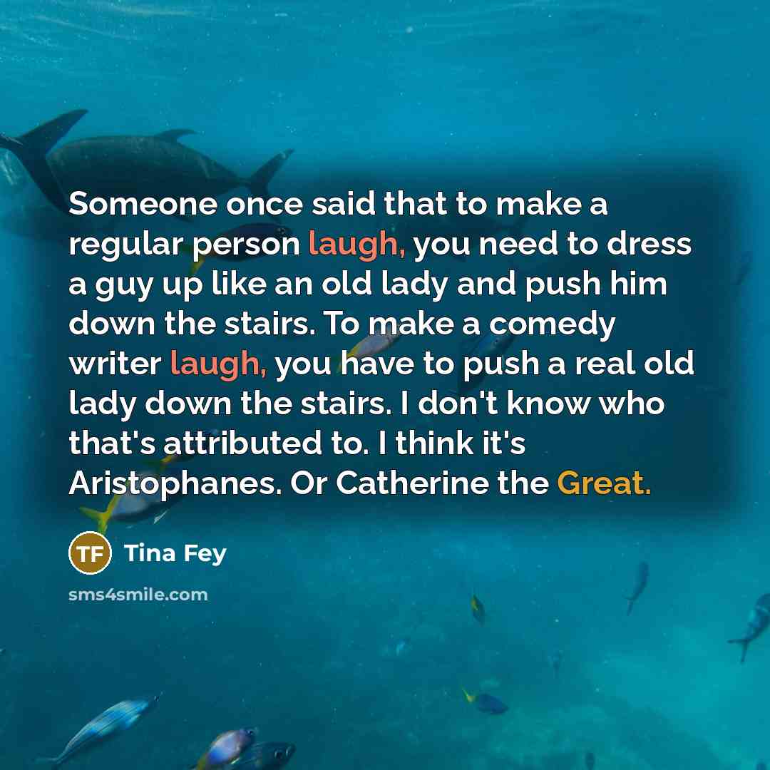 “Someone once said that to make a regular person laugh,…” quote by Tina Fey