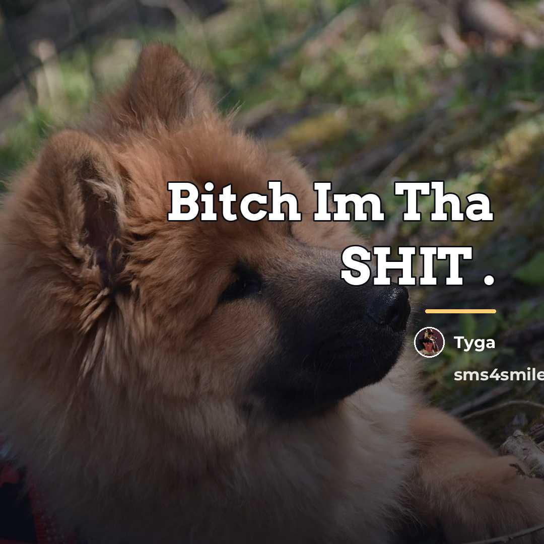“Bitch Im Tha SHIT .…” quote by Tyga