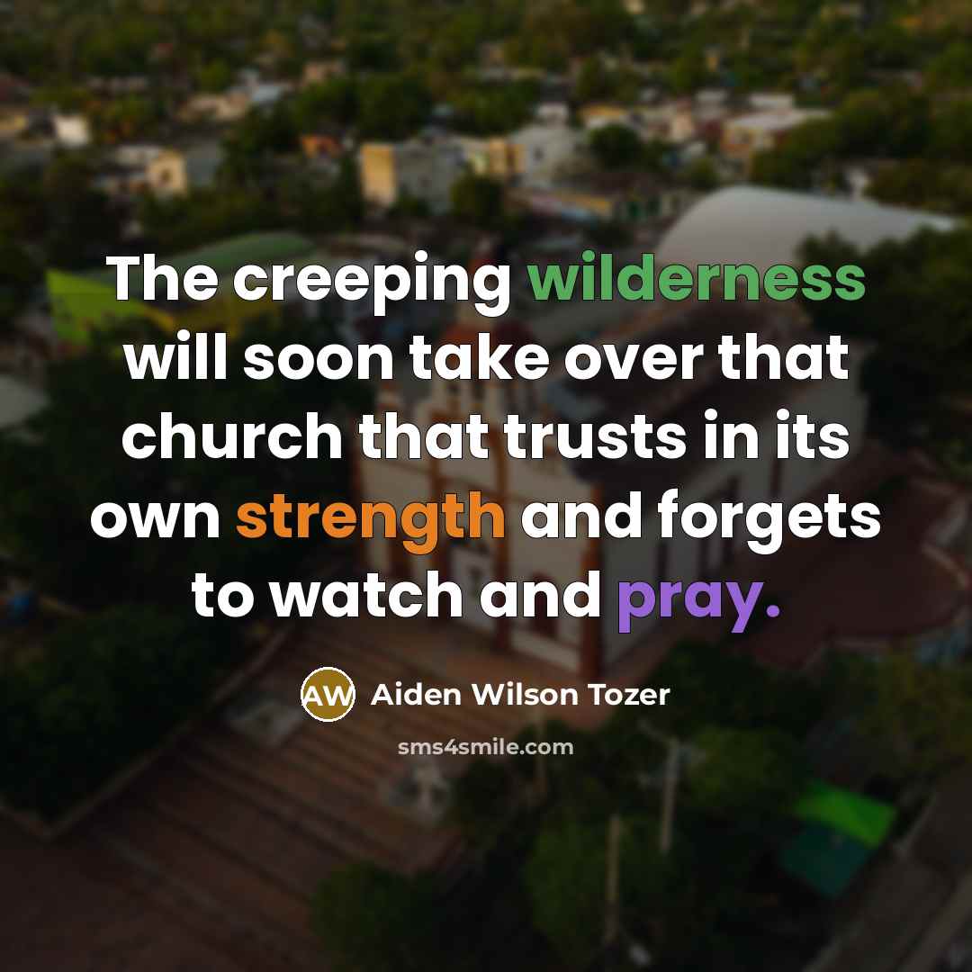 “The creeping wilderness will soon take over that church that…” quote by Aiden Wilson Tozer