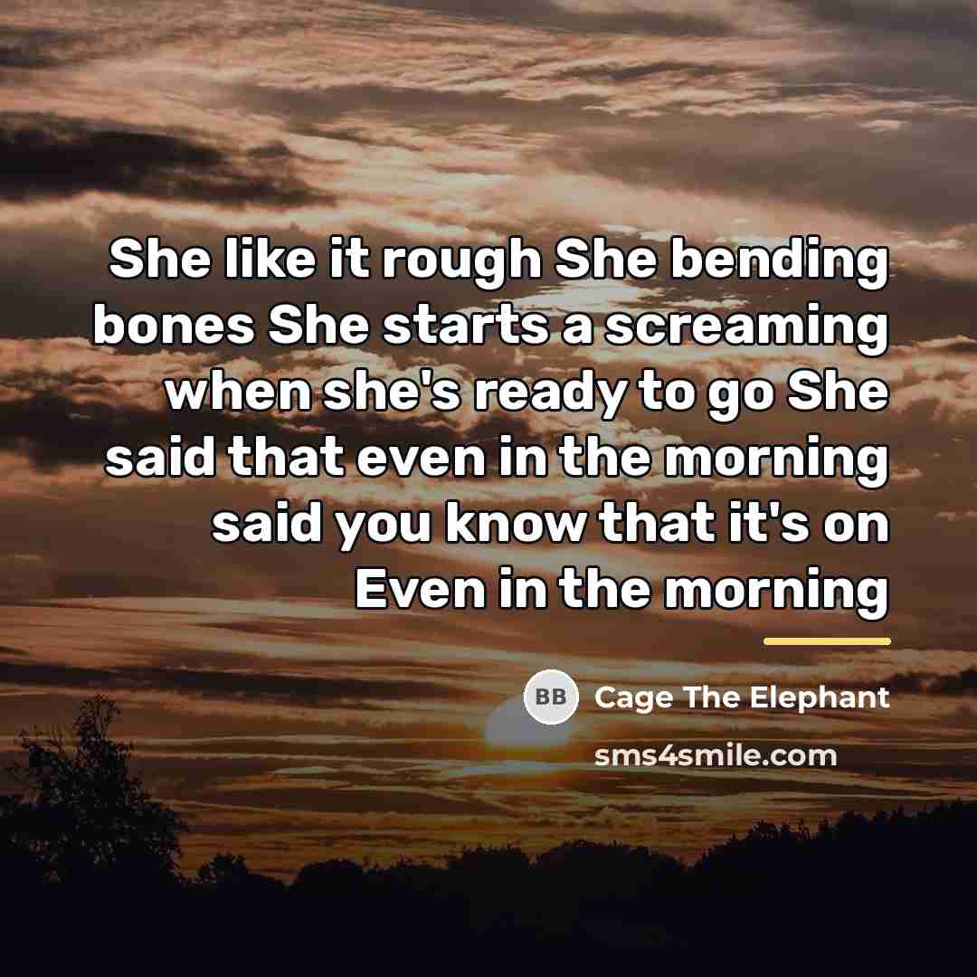 “She like it rough She bending bones She starts a…” quote by Cage The Elephant