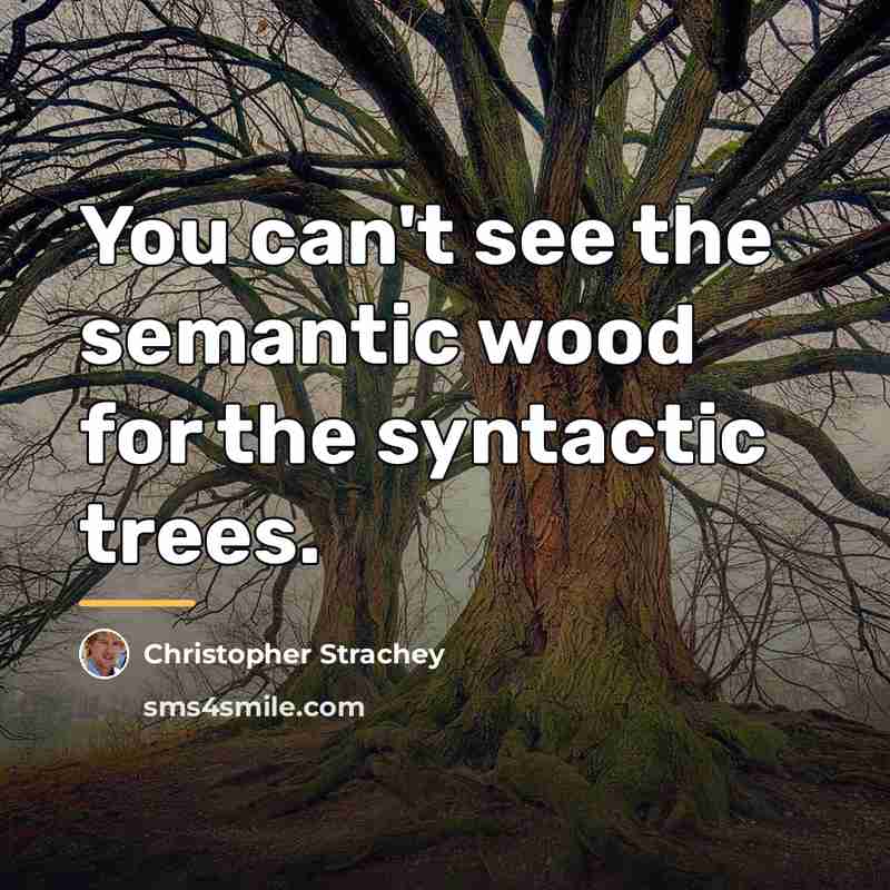 “You can't see the semantic wood for the syntactic trees.…” quote by Christopher Strachey