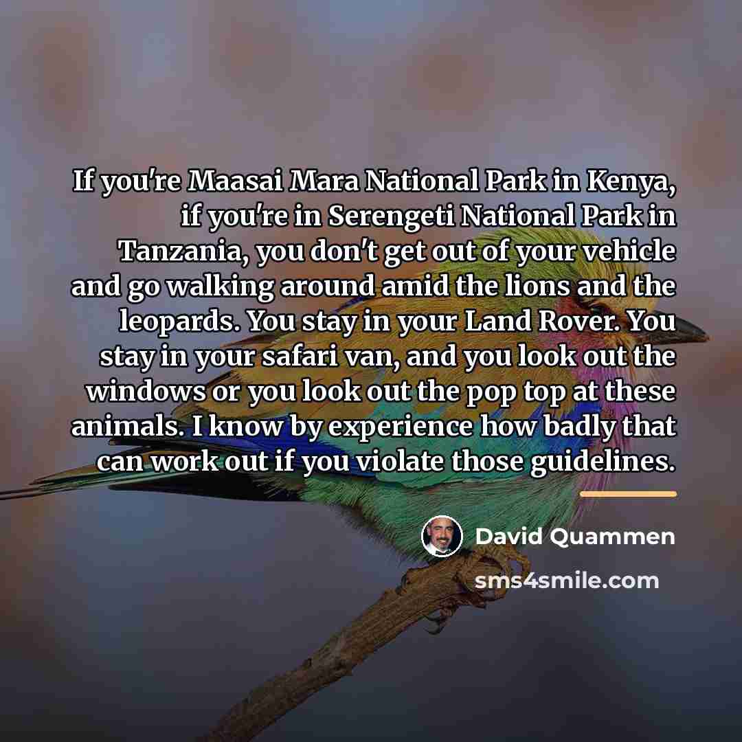 “If you're Maasai Mara National Park in Kenya, if you're…” quote by David Quammen