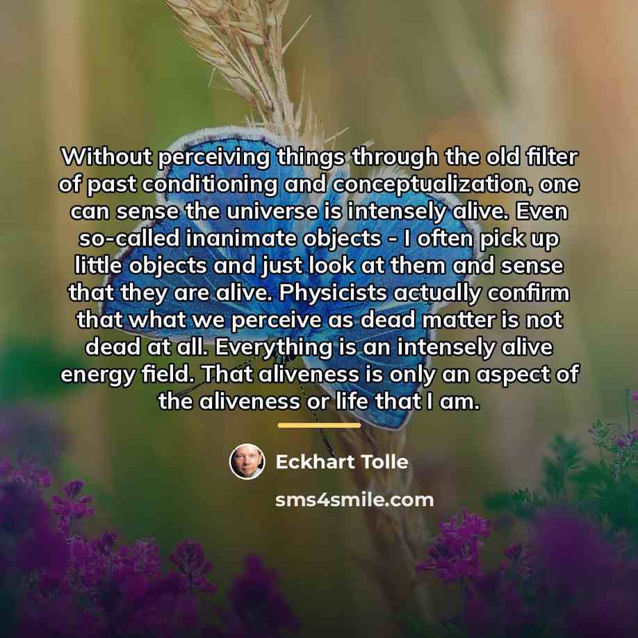 “Without perceiving things through the old filter of past conditioning…” quote by Eckhart Tolle