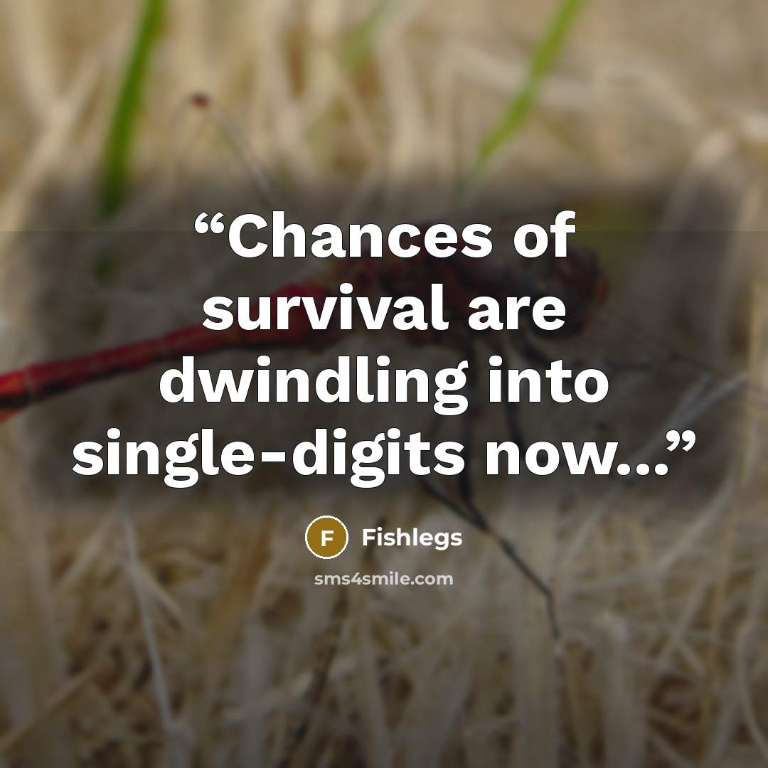 “Chances of survival are dwindling into single-digits now...” quote by Fishlegs