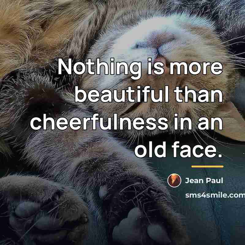 “Nothing is more beautiful than cheerfulness in an old face.…” quote by Jean Paul