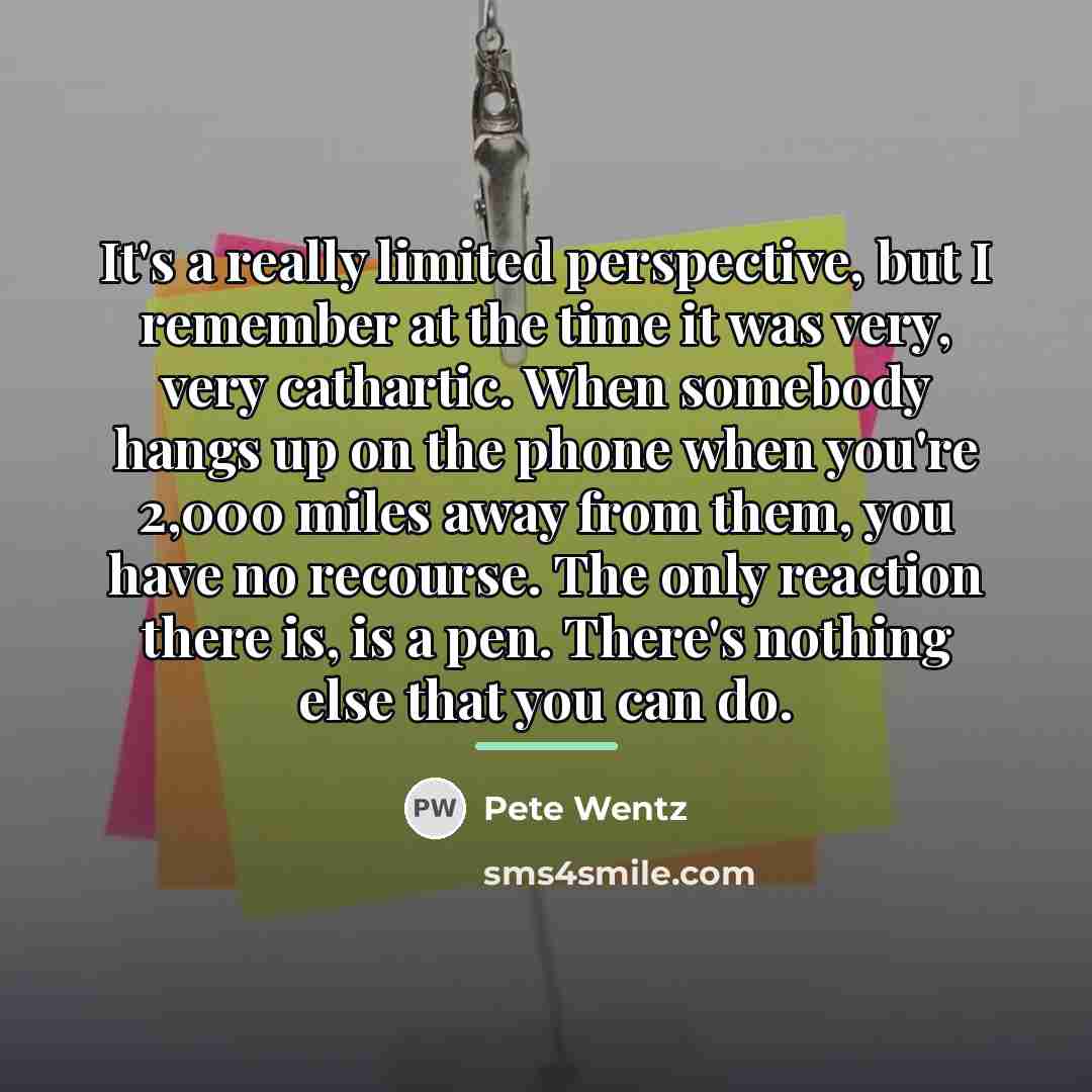 “It's a really limited perspective, but I remember at the…” quote by Pete Wentz